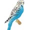 Parakeet Bird Wall Stencil | 1913 by Designer Stencils | Animal & Nature Stencils | Reusable Art Craft Stencils for Painting on Walls, Canvas, Wood | Reusable Plastic Paint Stencil for Home Makeover | Easy to Use & Clean Art Stencil